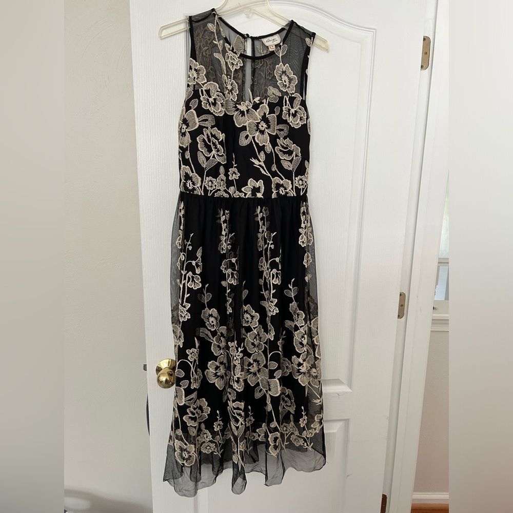 Beautiful black and tan dress